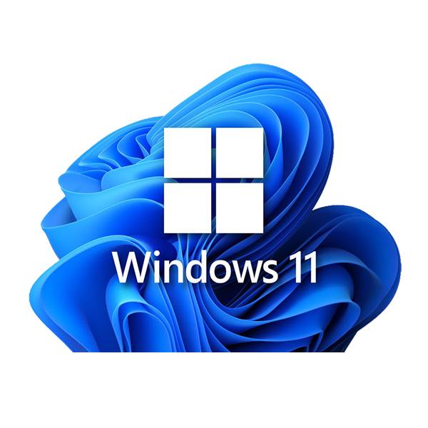 Windows 11 Home 64BIT TR (OEM)